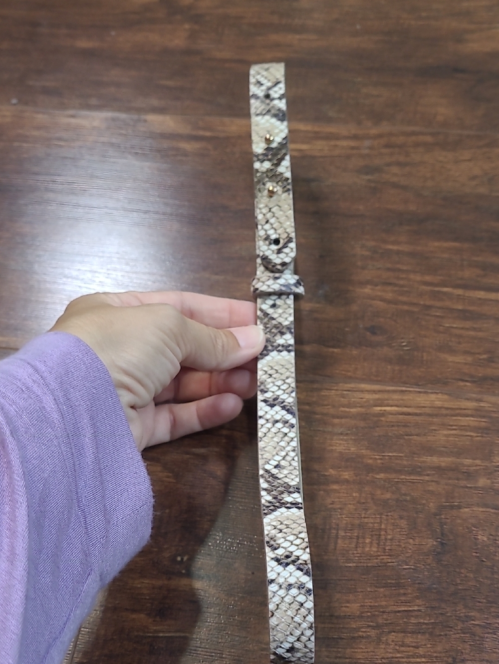 White House Black Msrket Snake-Print Reptile Collar — Beige/Brown Size Xs